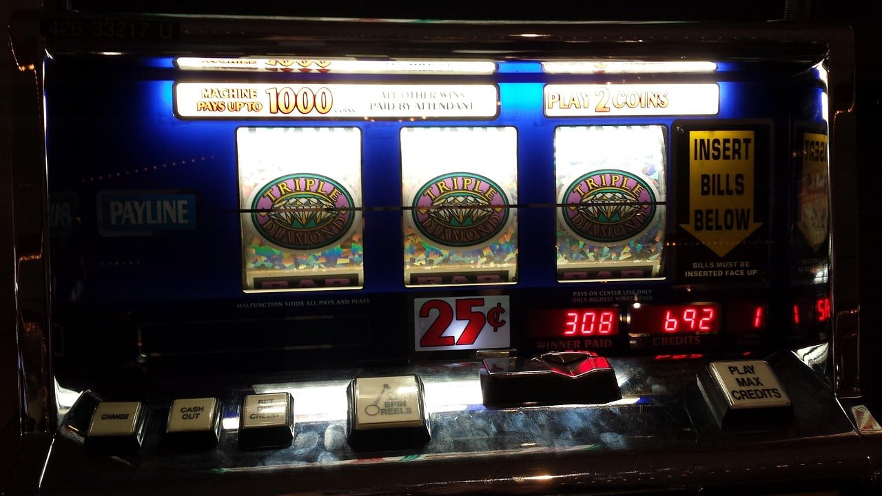 viva356